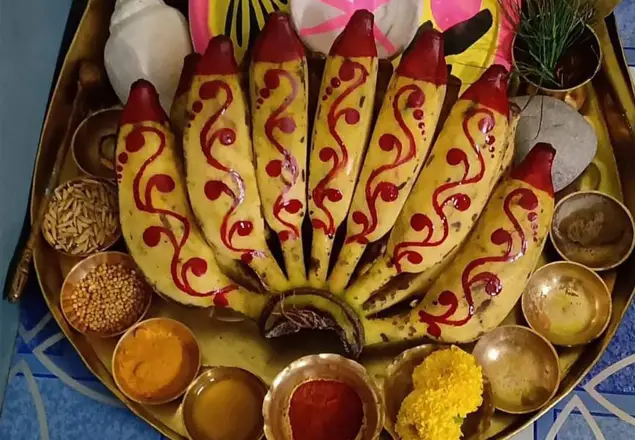 Vedic pooja ceremony — remedies and blessings